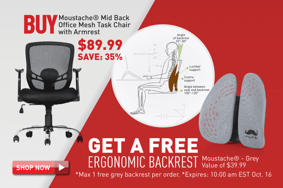 Buy office chair get ergonomic backrest free